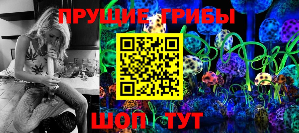 Коммунар  Галлюциногенные грибы GOLDEN TEACHER  Галлюциногенные грибы MAGIC MUSHROOMS  Вход с VPN 