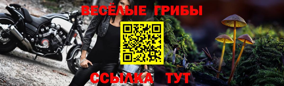 Псилоцибиновые грибы мухоморы Коммунар